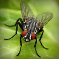 /album/salon-de-trabajo-imaginario/photolia-a01-jpg/