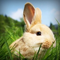 /album/salon-de-trabajo-imaginario/photolia-a03-jpg/