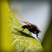 /album/salon-de-trabajo-imaginario/photolia-a04-jpg/