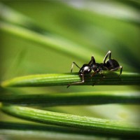 /album/salon-de-trabajo-imaginario/photolia-a05-jpg/