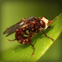 /album/salon-de-trabajo-imaginario/photolia-a06-jpg/