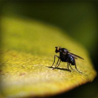 /album/salon-de-trabajo-imaginario/photolia-a07-jpg/