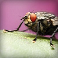 /album/salon-de-trabajo-imaginario/photolia-a08-jpg/